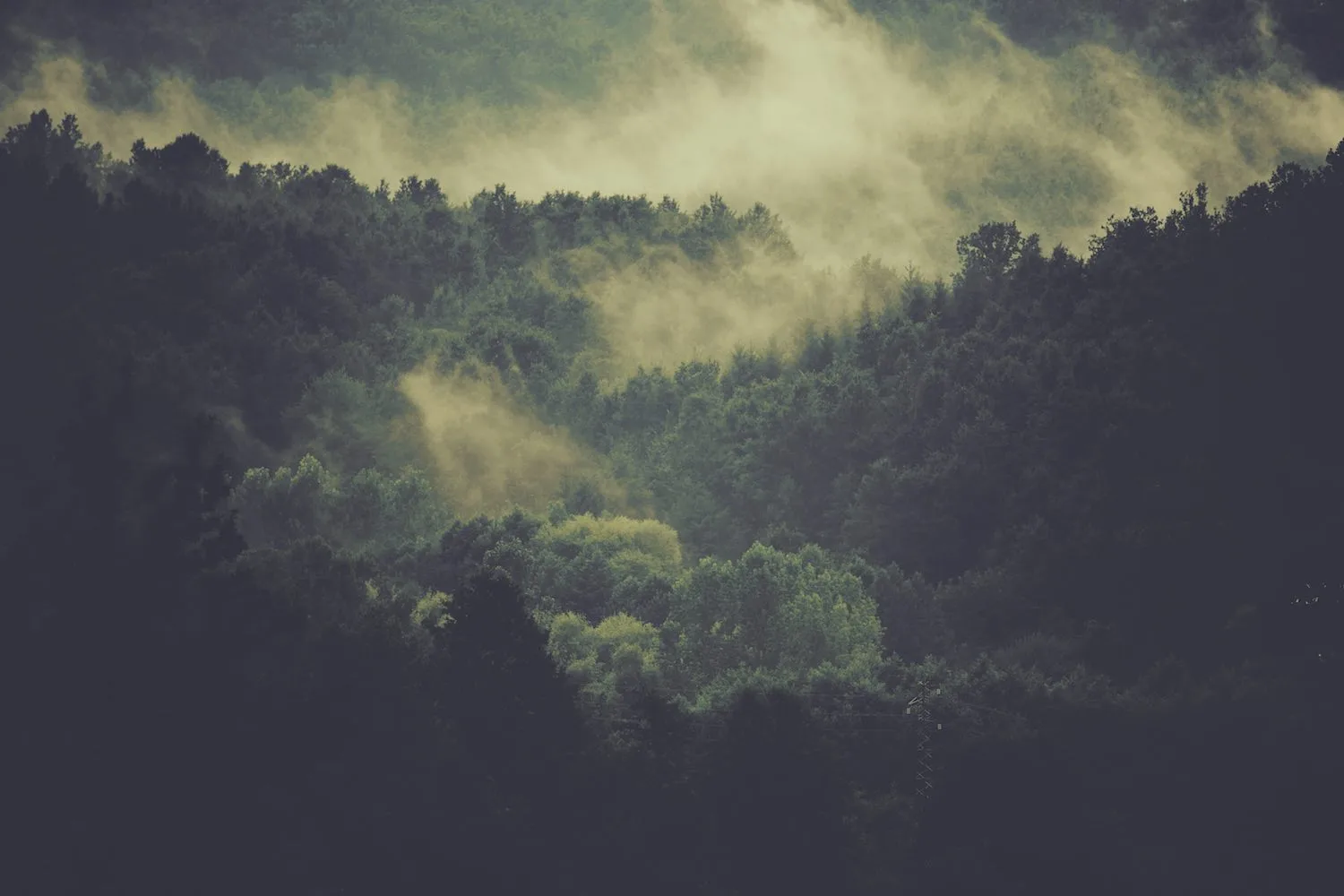 Imagen de fondo de la sección de contacto de Sendero Noble: retiros de meditación en Canarias